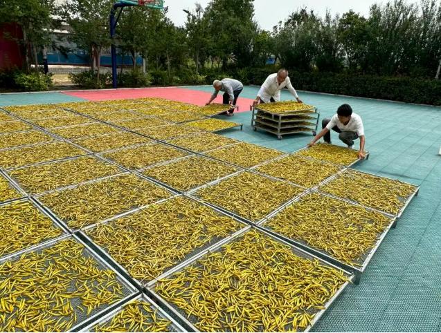 喜乐在线高效云仓储物流监控系统APP应用快速下载